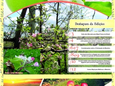 AGAPOMI-Edicao-281