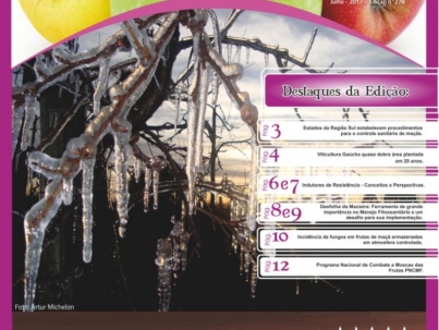 Capa-edição-278