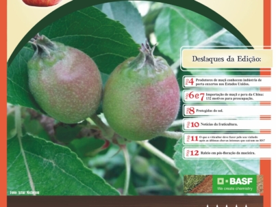 Jornal-Agapomi-270