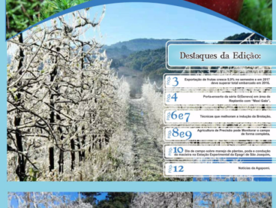 Jornal-Agapomi-279