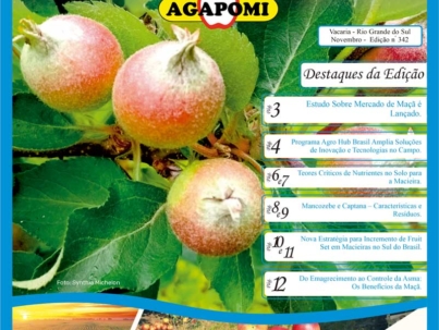 capa-342