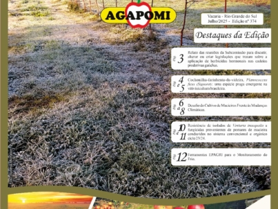 Imagem do WhatsApp de 2025-06-25 à(s) 16.24.23_4e2458b3