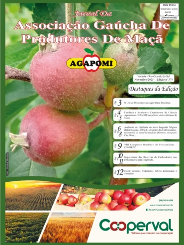 Imagem do WhatsApp de 2025-10-20 à(s) 08.22.43_0bbe927a