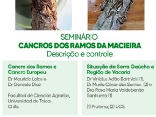 seminario-cancro