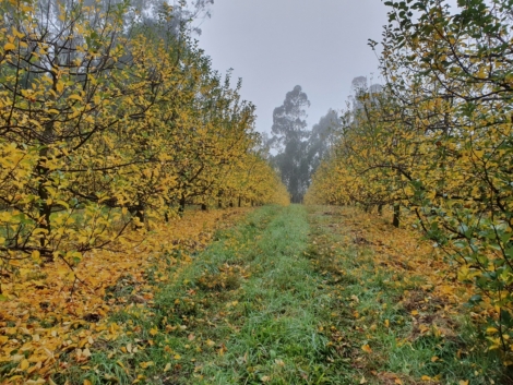 image001