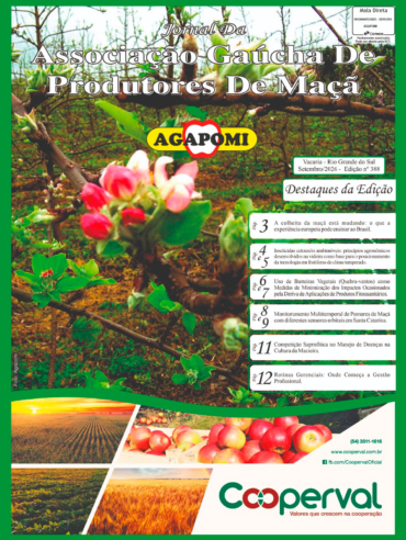 jornal388
