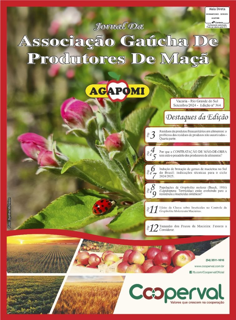 Jornal Agapomi edição 364