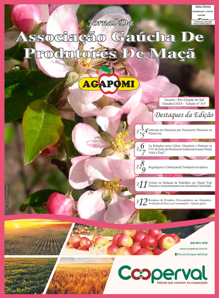 Jornal Agapomi edição 365