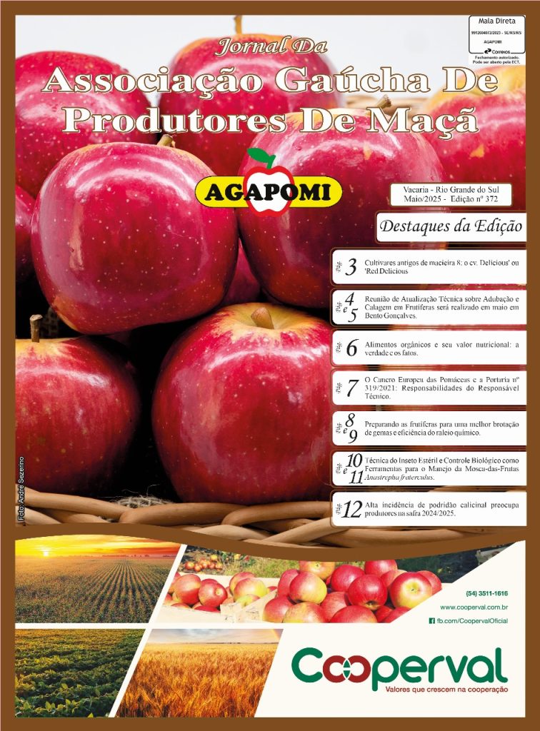 Jornal Agapomi edição 372