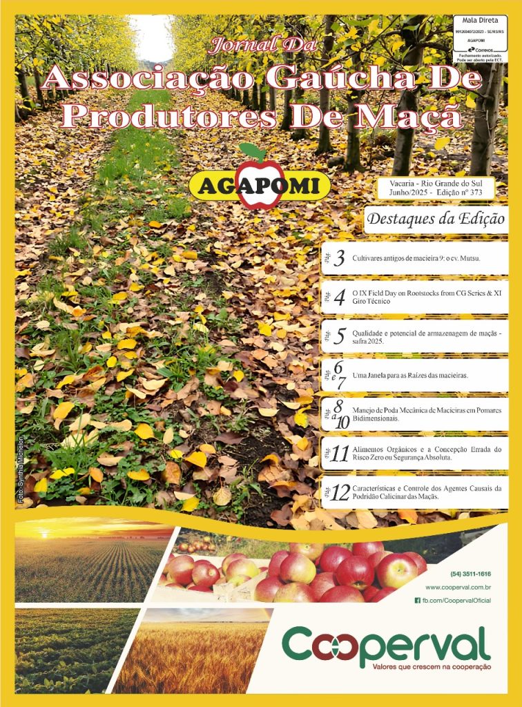 Jornal Agapomi edição 373
