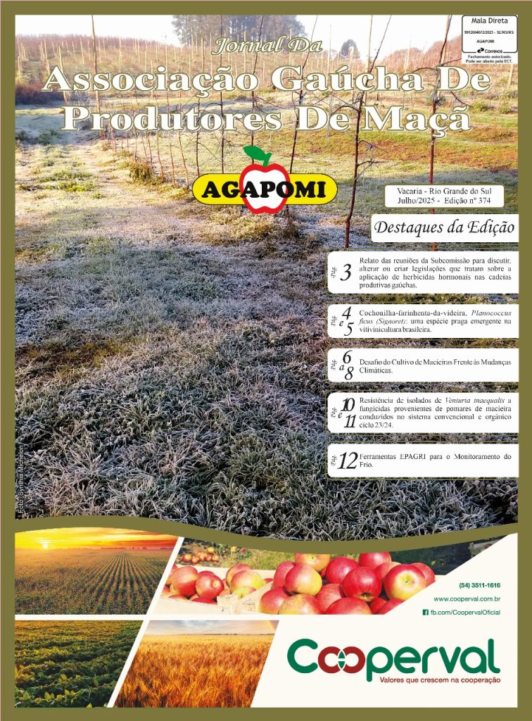 Jornal Agapomi edição 374