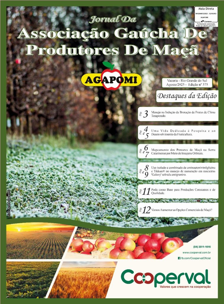 Jornal Agapomi edição 375
