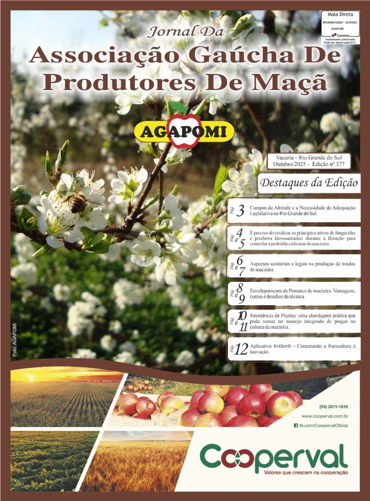 Jornal Agapomi edição 377
