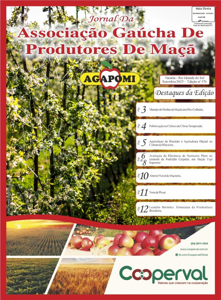 Jornal Agapomi edição 376