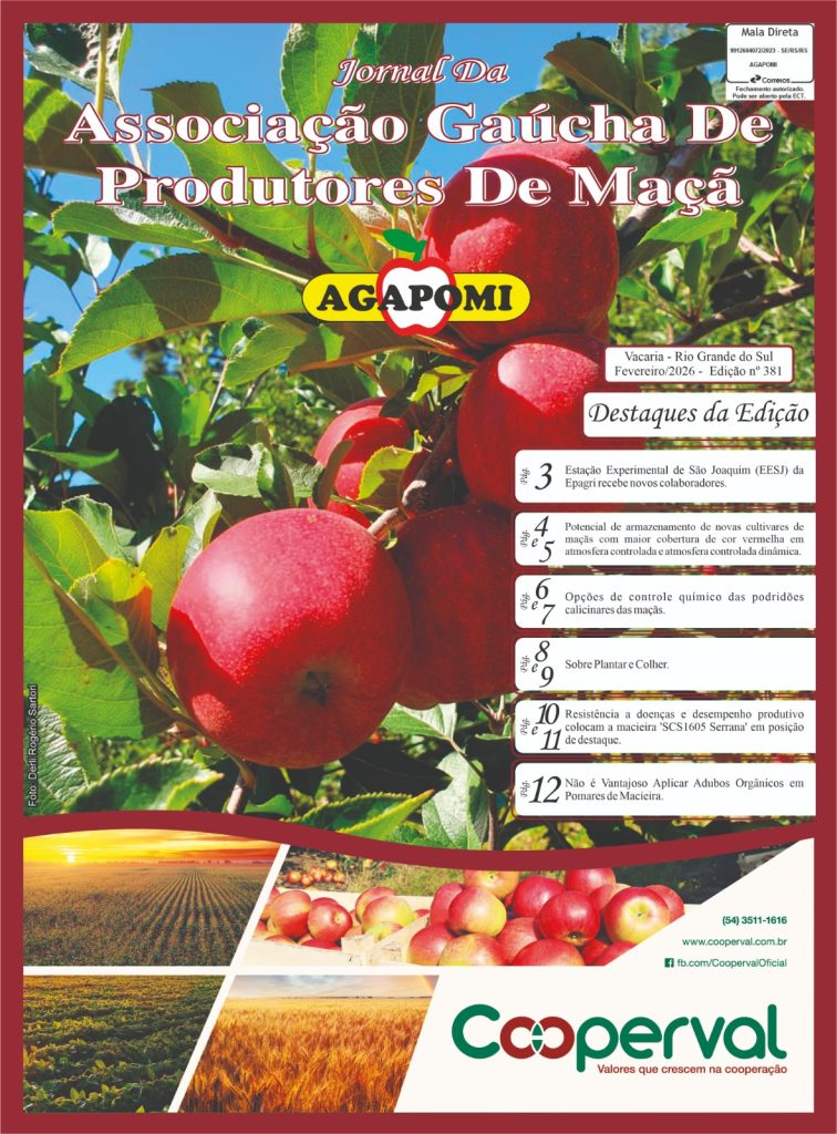 Jornal da Agapomi edição 381