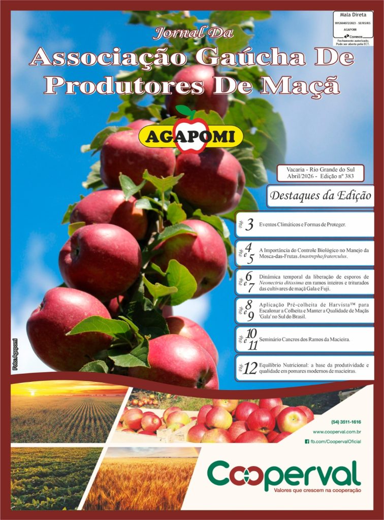 Jornal Agapomi edição 383