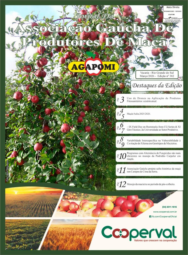 Jornal da Agapomi edição 382