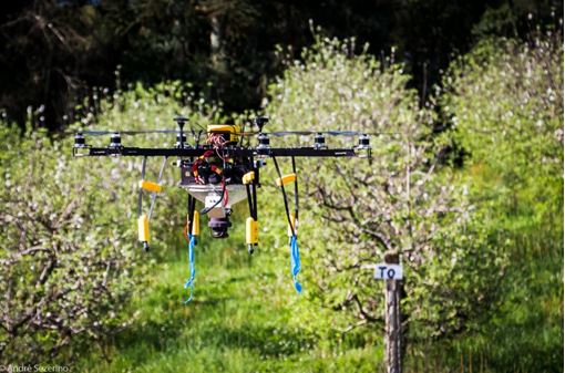 USO DE DRONES NA APLICAÇÃO DE PRODUTOS FITOSSANITÁRIOS: cenário atual.